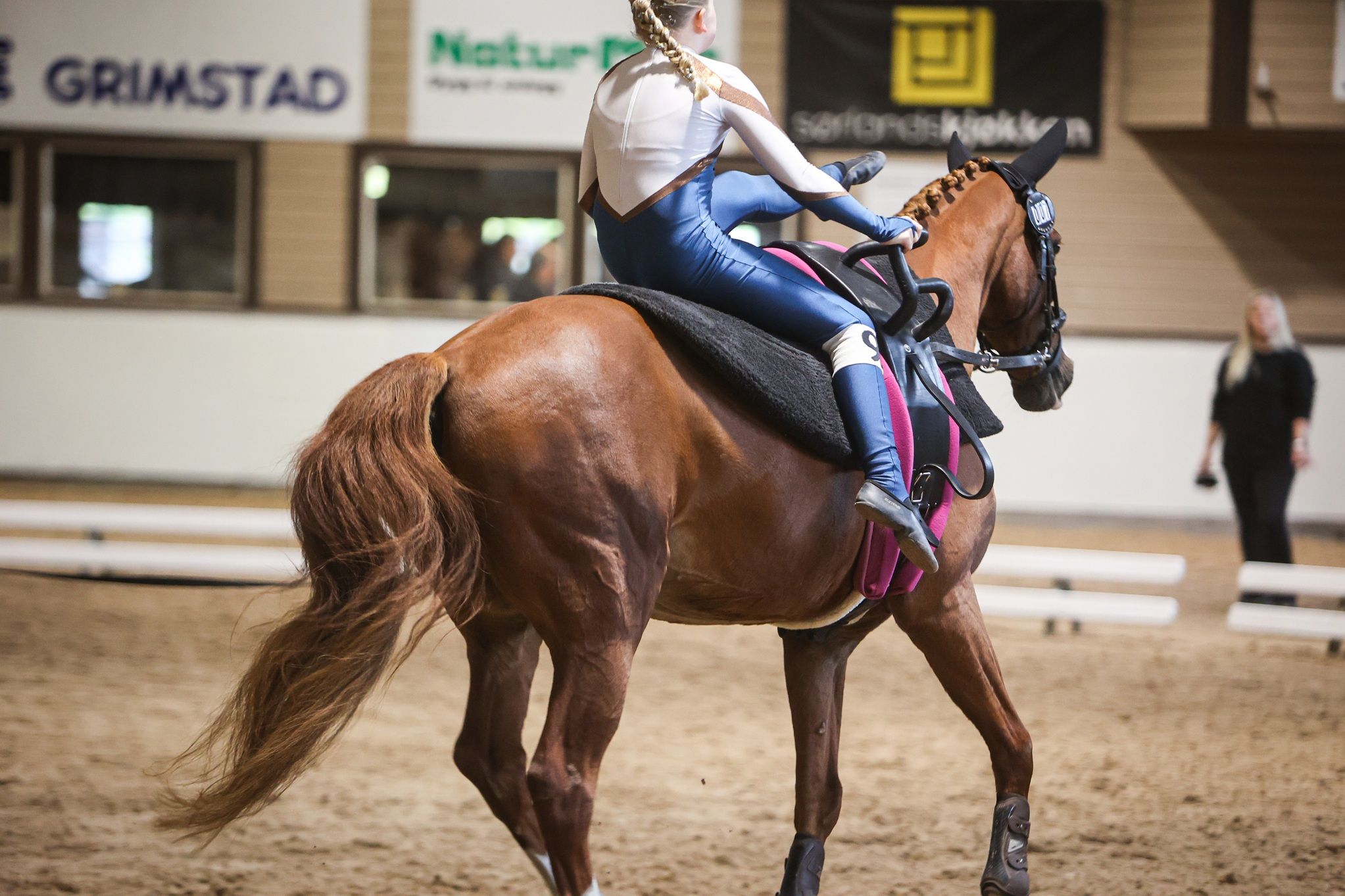 hest / Norges Rytterforbund
