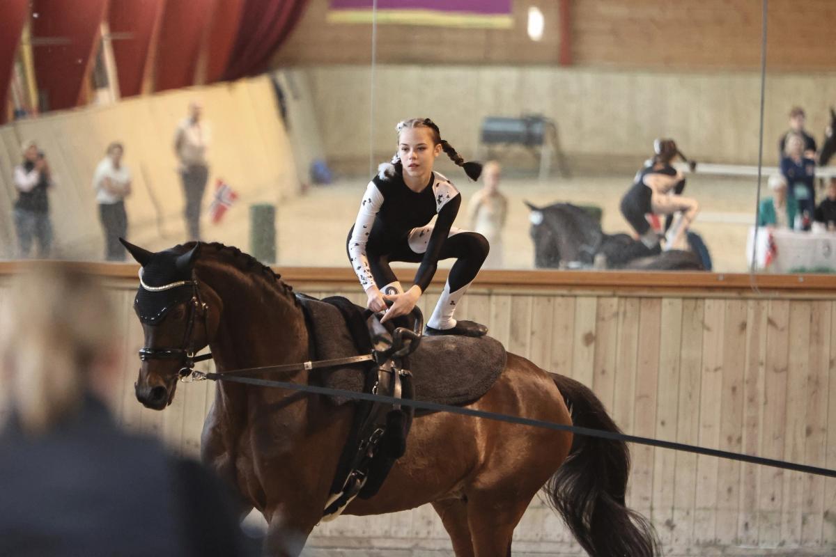 hest / Norges Rytterforbund / voltige