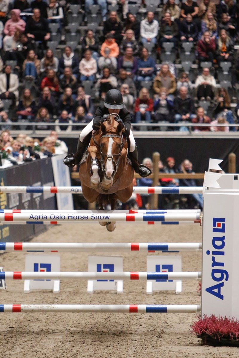 hest / Norges Rytterforbund / Victoria Guliksen