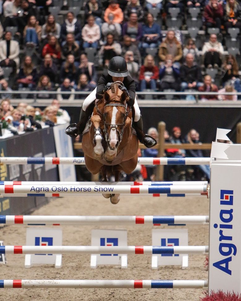 hest / Norges Rytterforbund / Victoria Guliksen