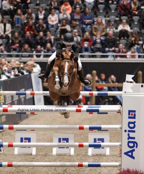 hest / Norges Rytterforbund / Victoria Guliksen