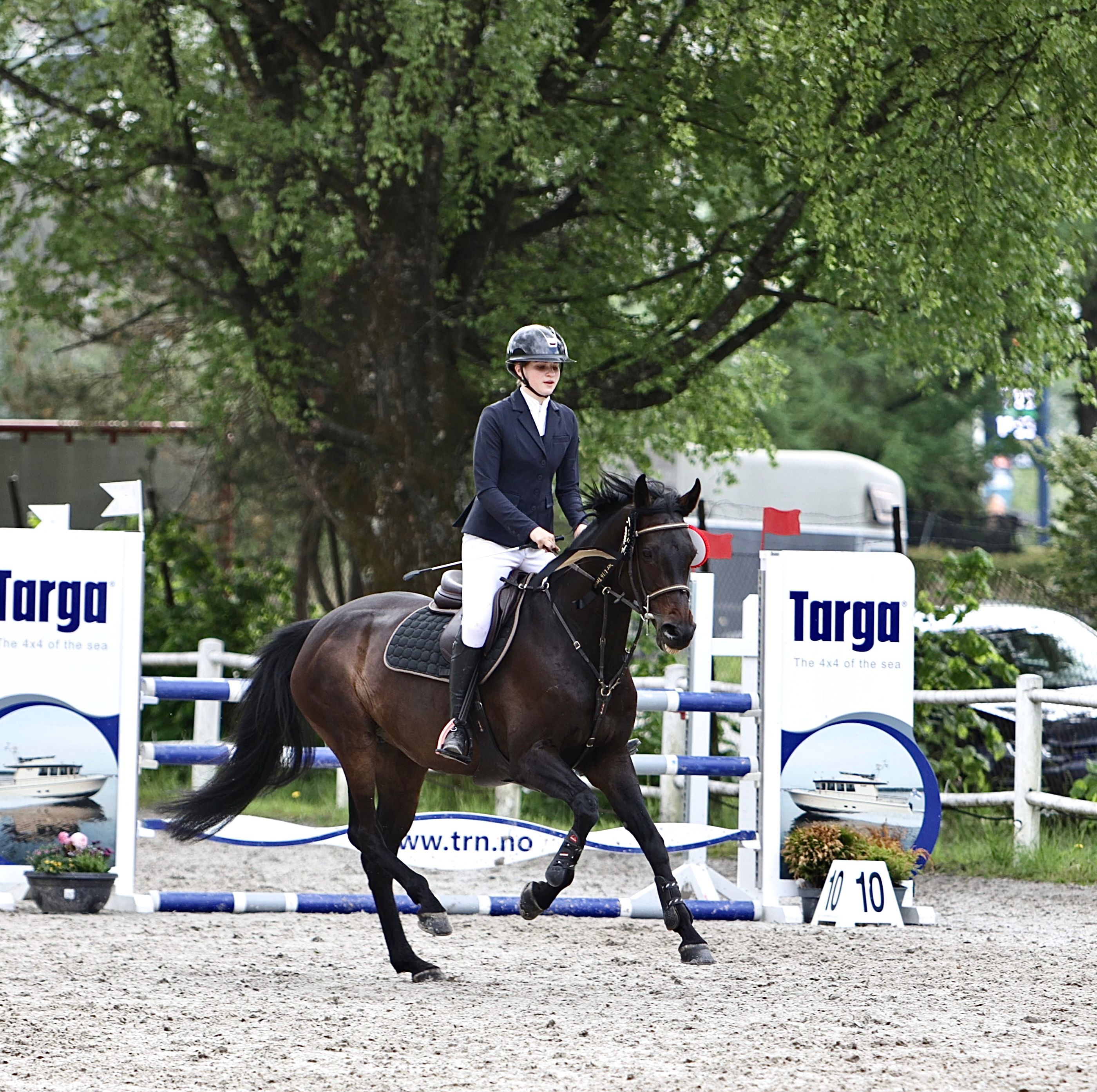hest / Norges Rytterforbund