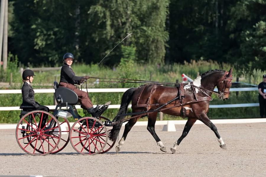 I syv år gamle SH Presious Zodiac har Lise Iren Kosmo Gylseth og team en riktig spennende hest for fremtiden. (Foto: Leena Kahisaari)