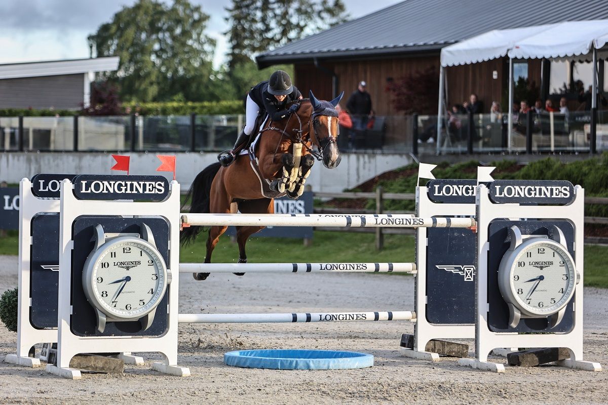 hest / Norges Rytterforbund