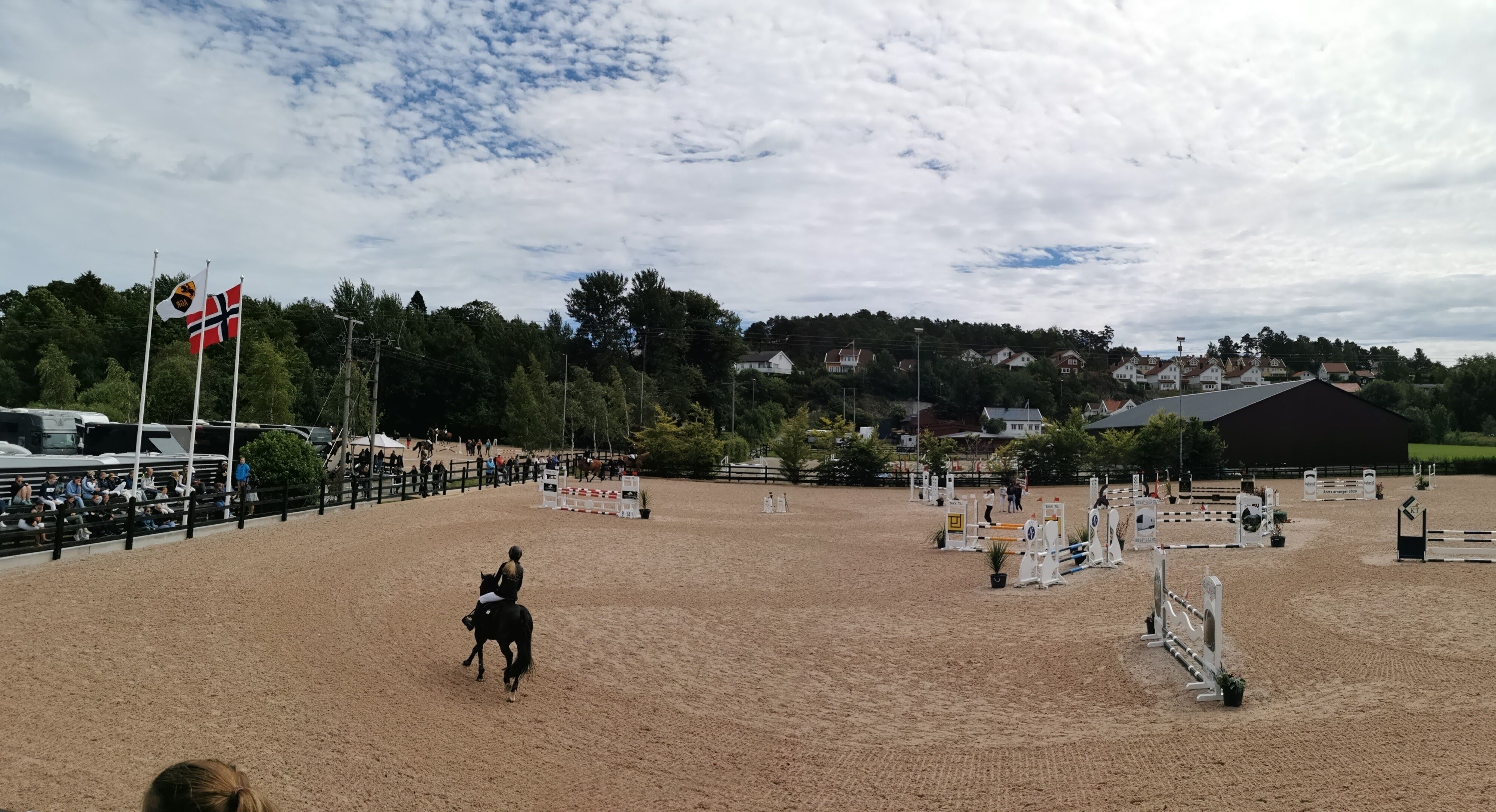 hest / Norges Rytterforbund 