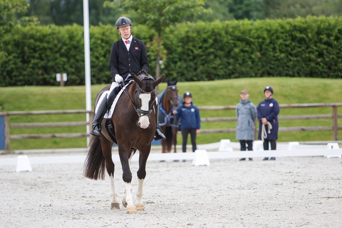 hest / Norges Rytterforbund