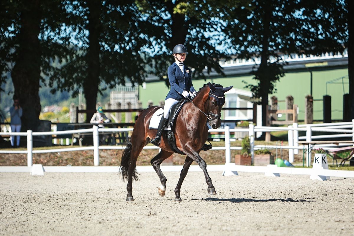 hest / Norges Rytterforbund / paradressur