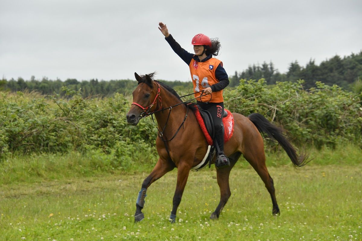 hest / Norges Rytterforbund