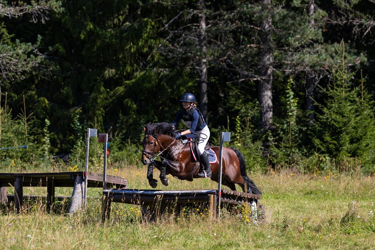 hest / Norges Rytterforbund