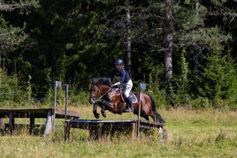 hest / Norges Rytterforbund