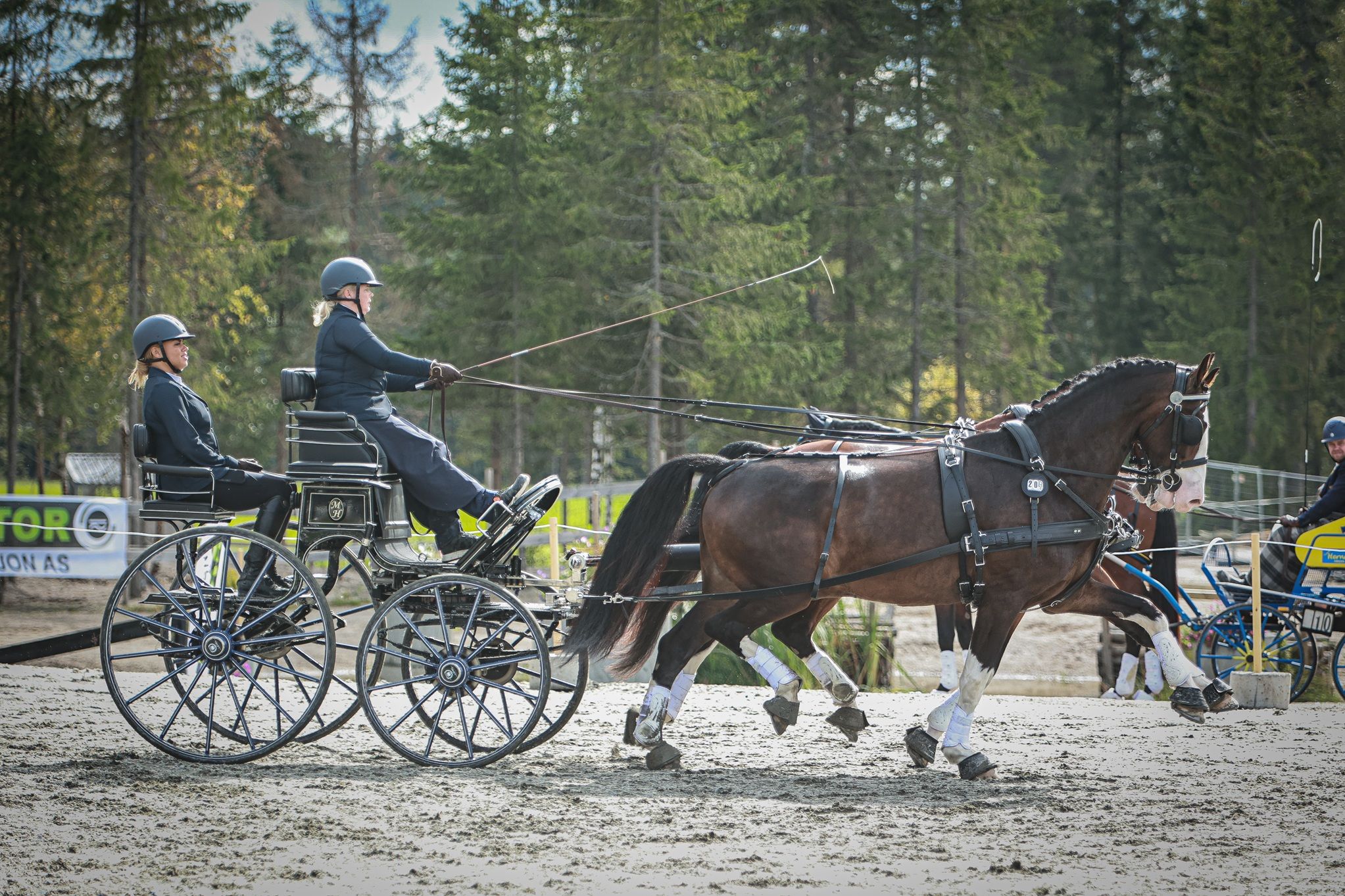 hest / Norges Rytterforbund / Maria Henriksson
