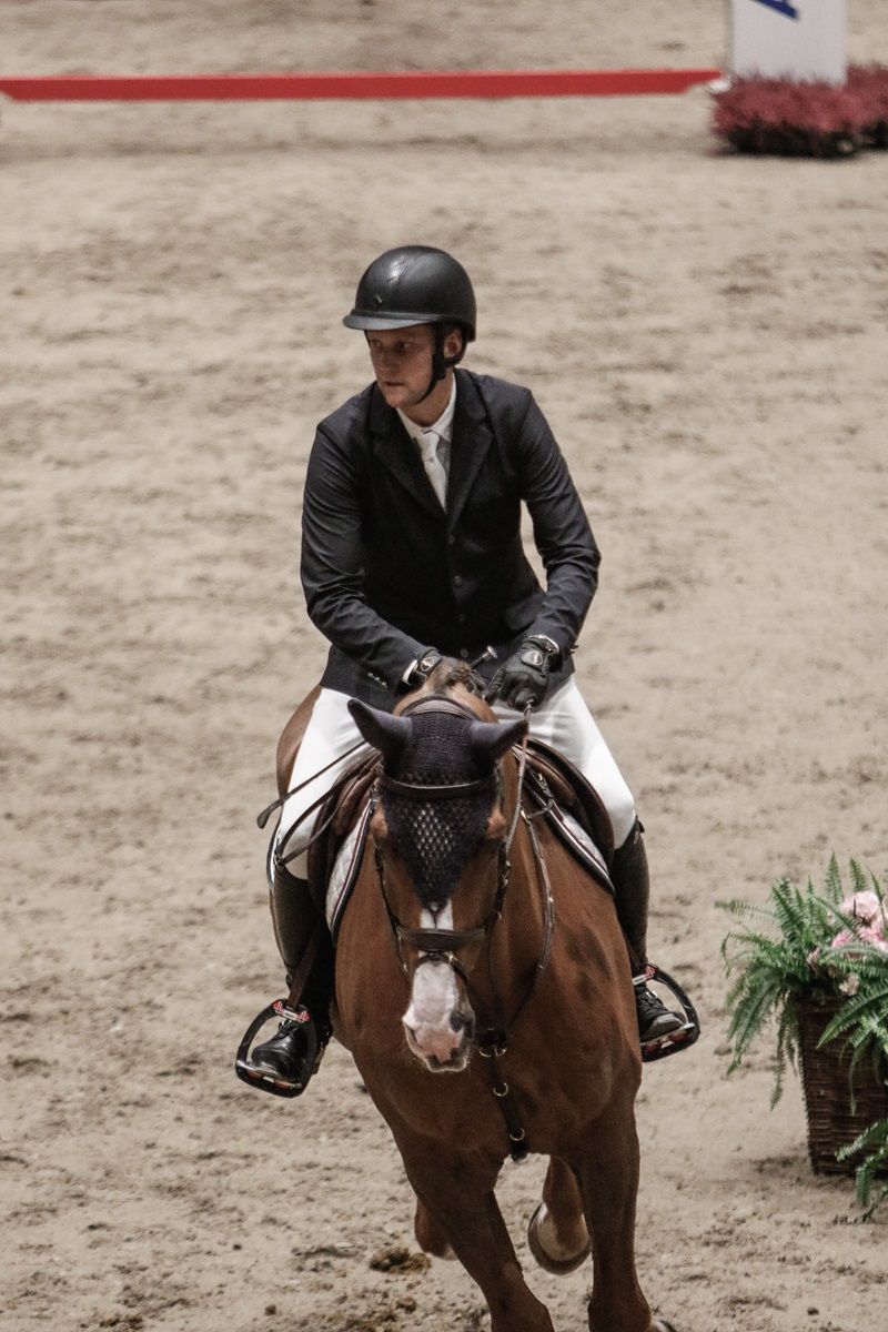 hest / Norges Rytterforbund