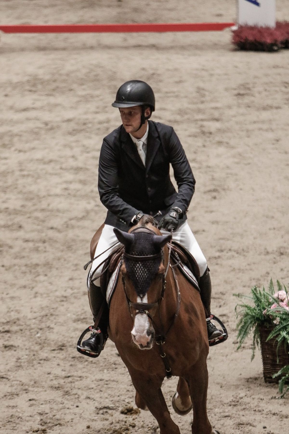 hest / Norges Rytterforbund