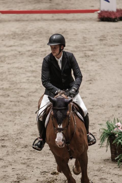 hest / Norges Rytterforbund