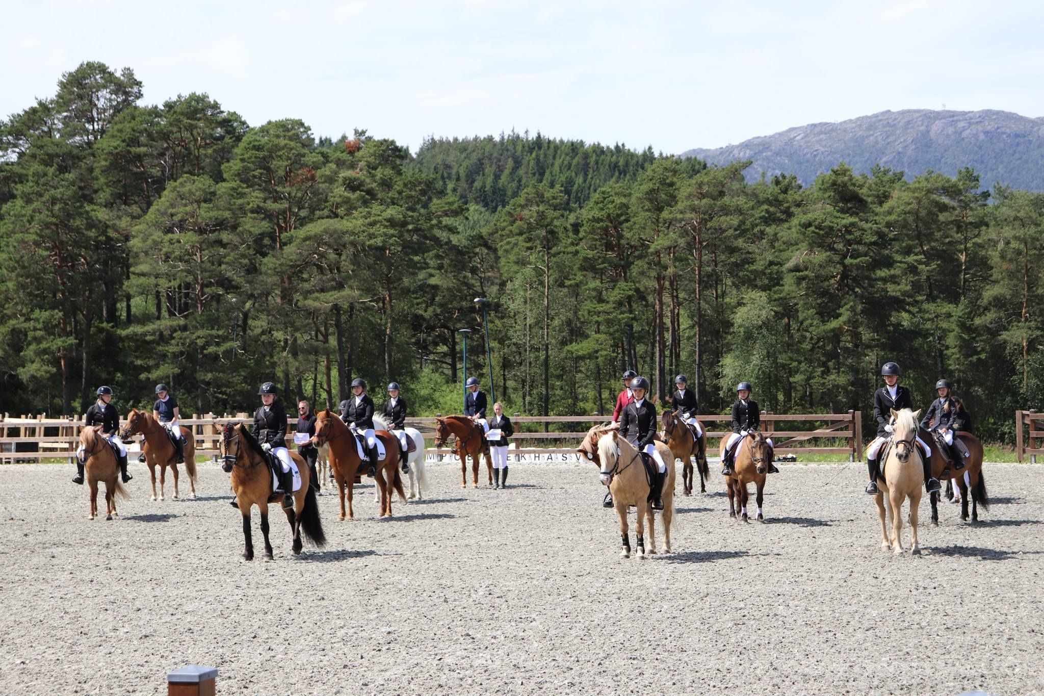 hest / Norges Rytterforbund