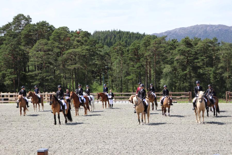 hest / Norges Rytterforbund