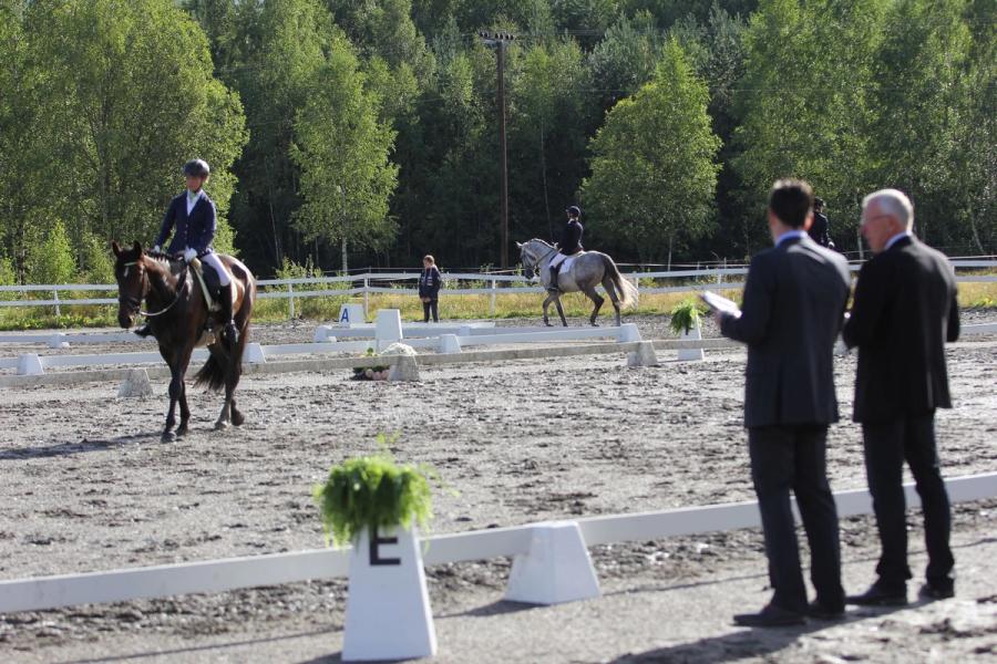 hest / Norges rytterforbund