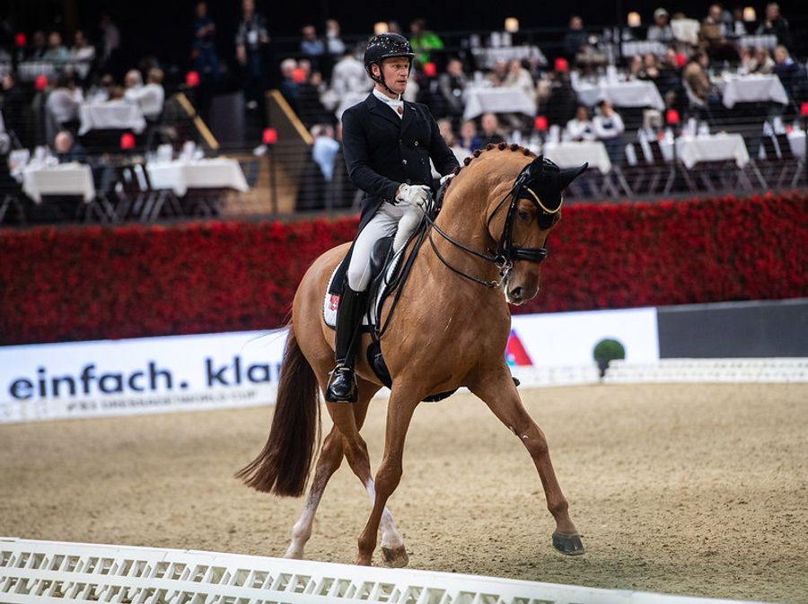 hest / dressur / Norges Rytterforbund