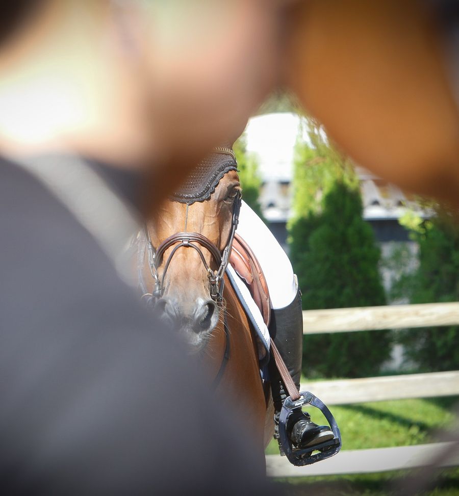 hest / Norges Rytterforbund