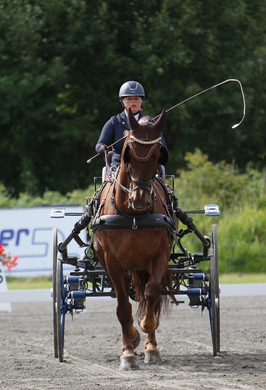 hest / kjøring / Maria Henriksson / Norges Rytterforbund