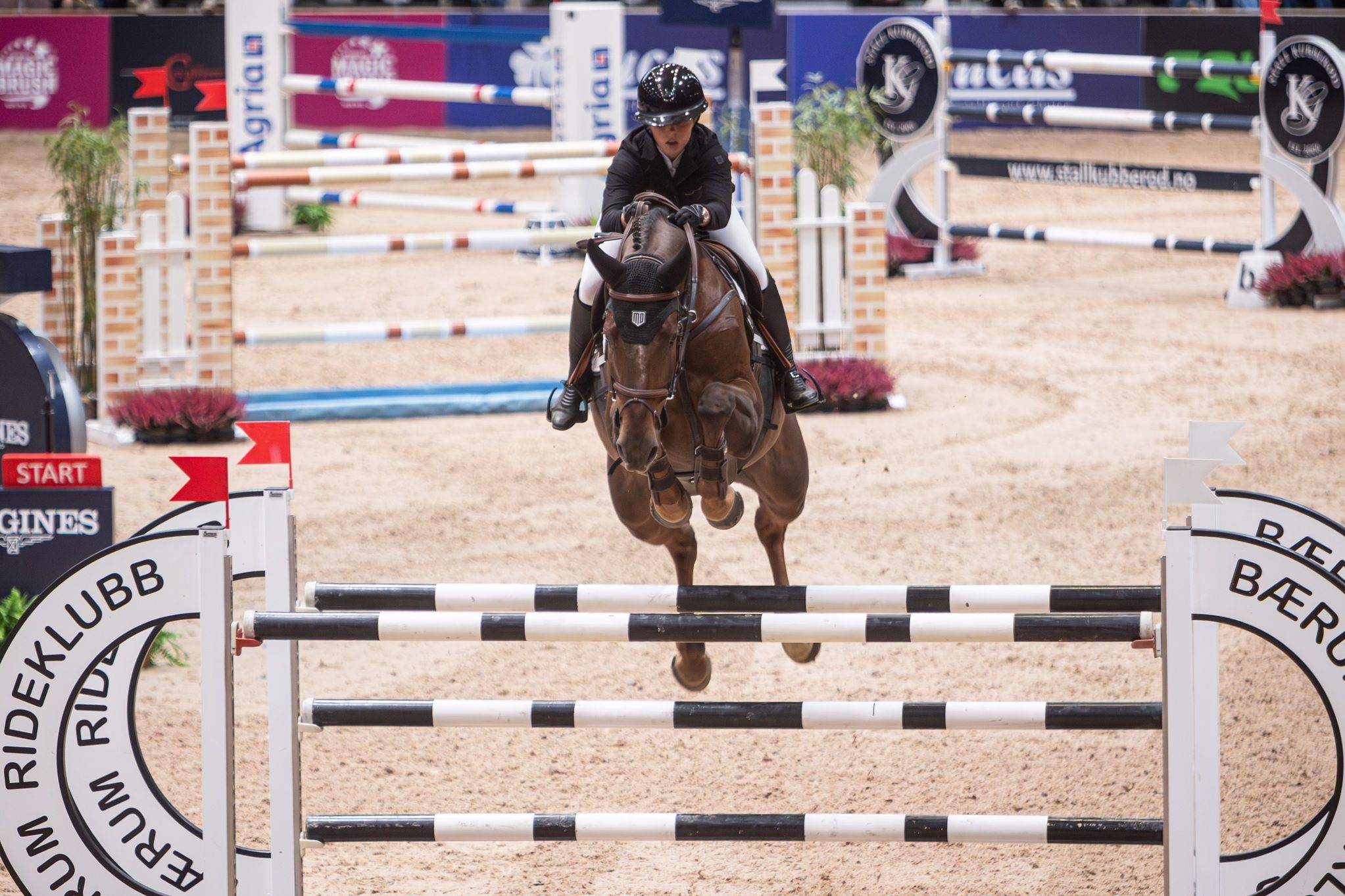 hest / Norges Rytterforbund / Mira Høidal