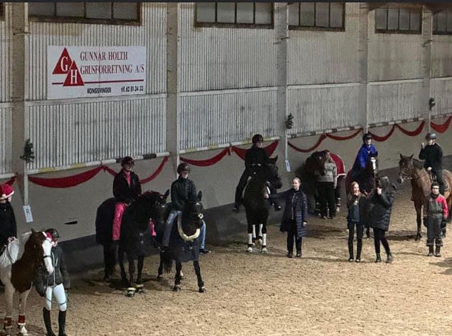 hest / Norges Rytterforbund