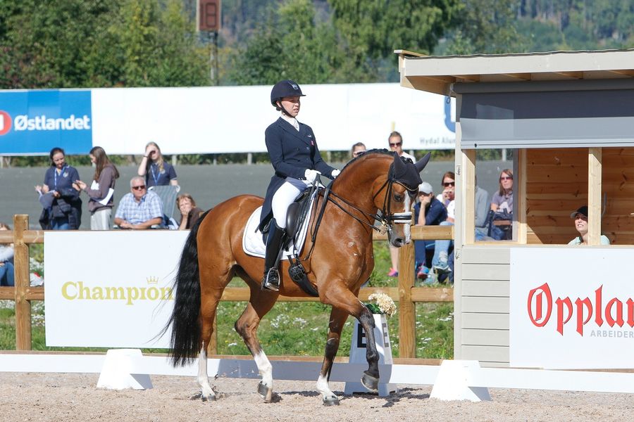 dressur Mathilde Merethe Klaesson