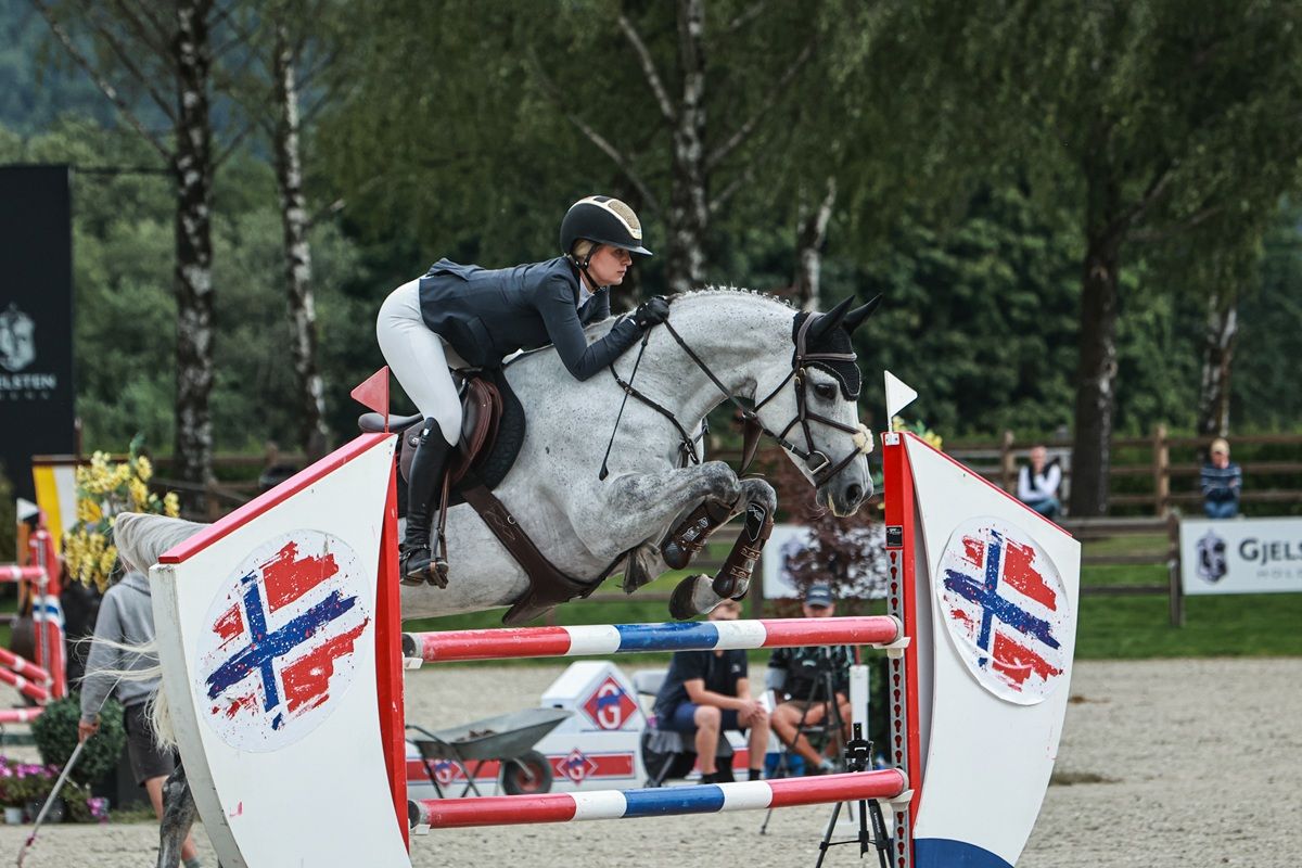 hest / Norges Rytterforbund 