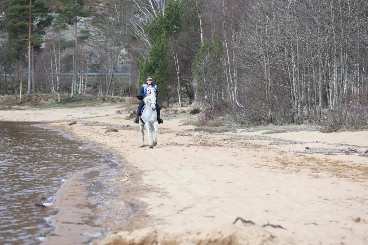 hest / Norges Rytterforbund / distanse / Rita Eiesland Holen