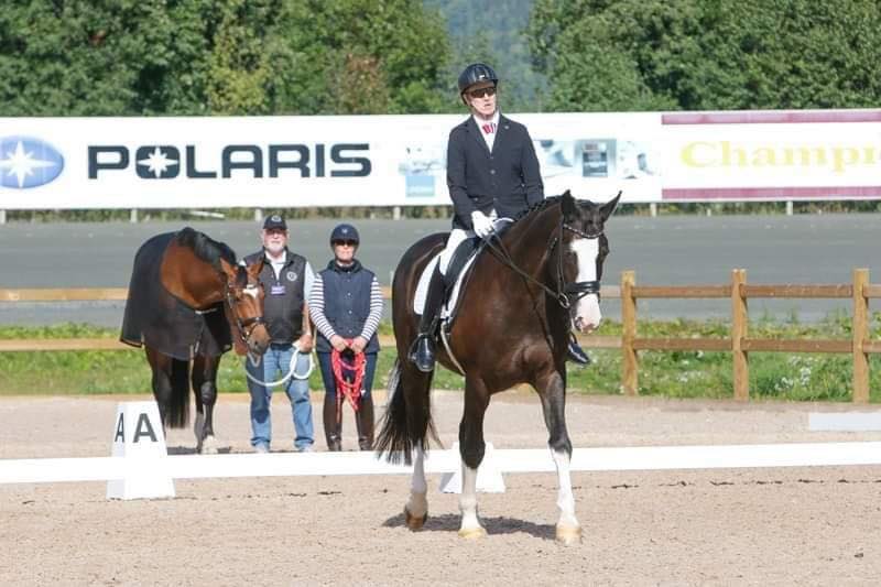 hest / Norges rytterforbund