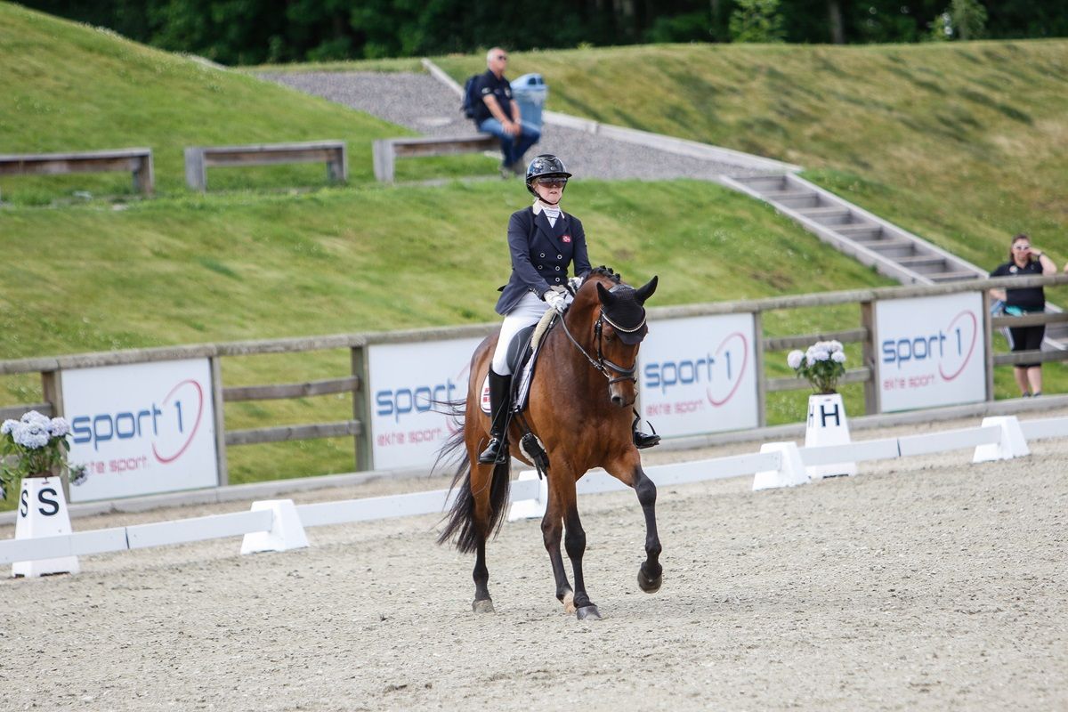 hest / Norges Rytterforbund