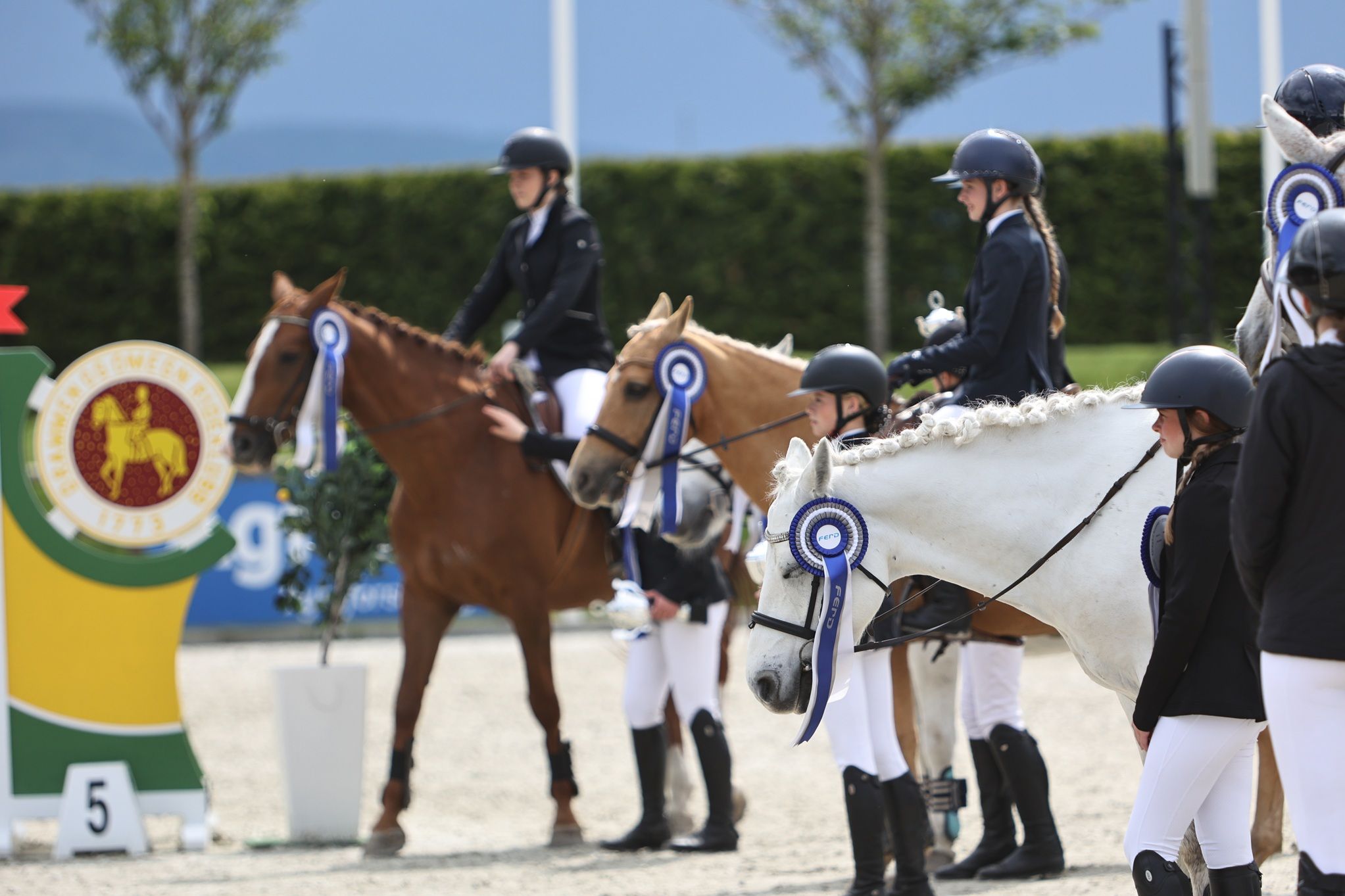 hest / Norges Rytterforbund / FERD Rideskolecup