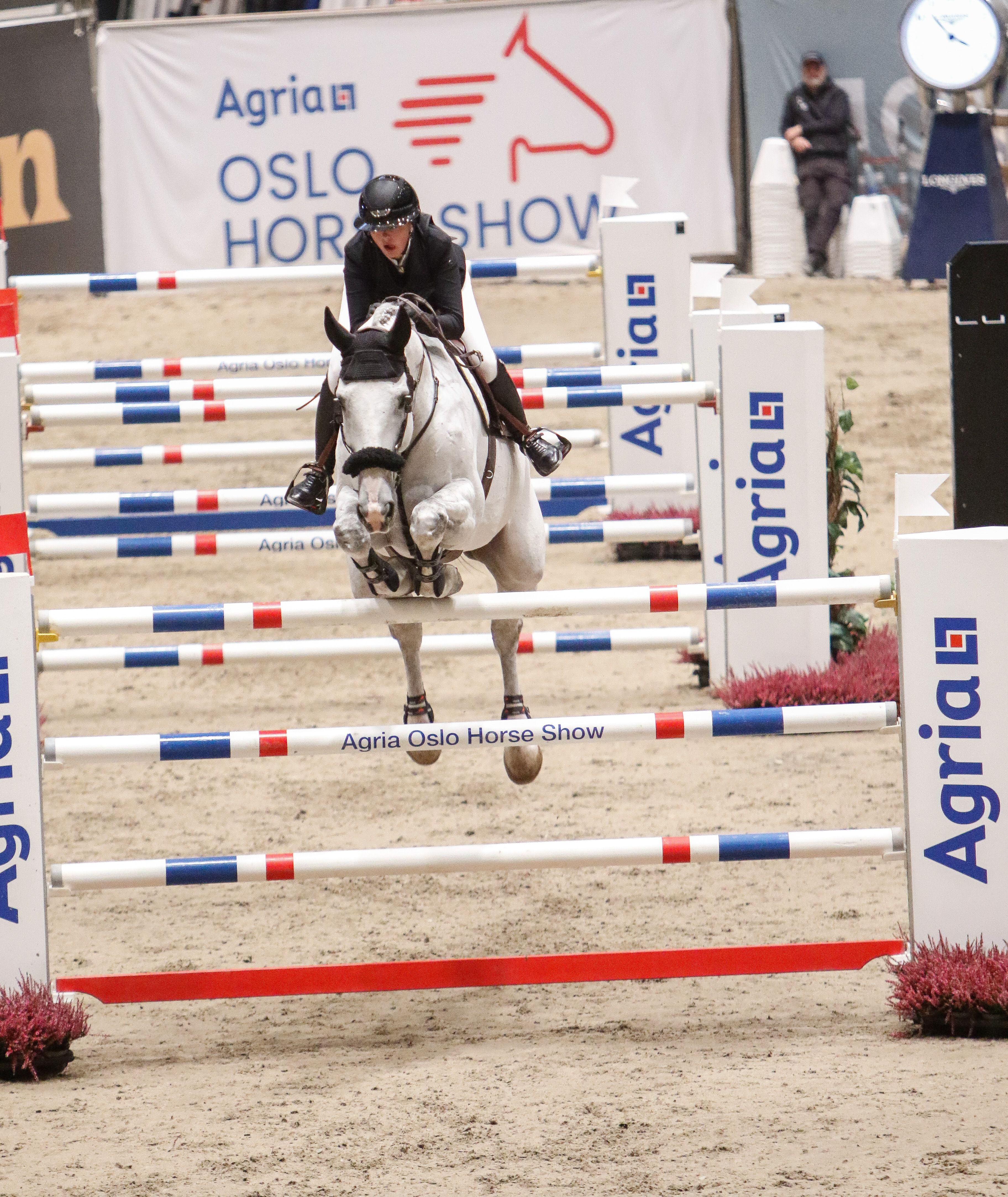 hest / Norges Rytterforbund