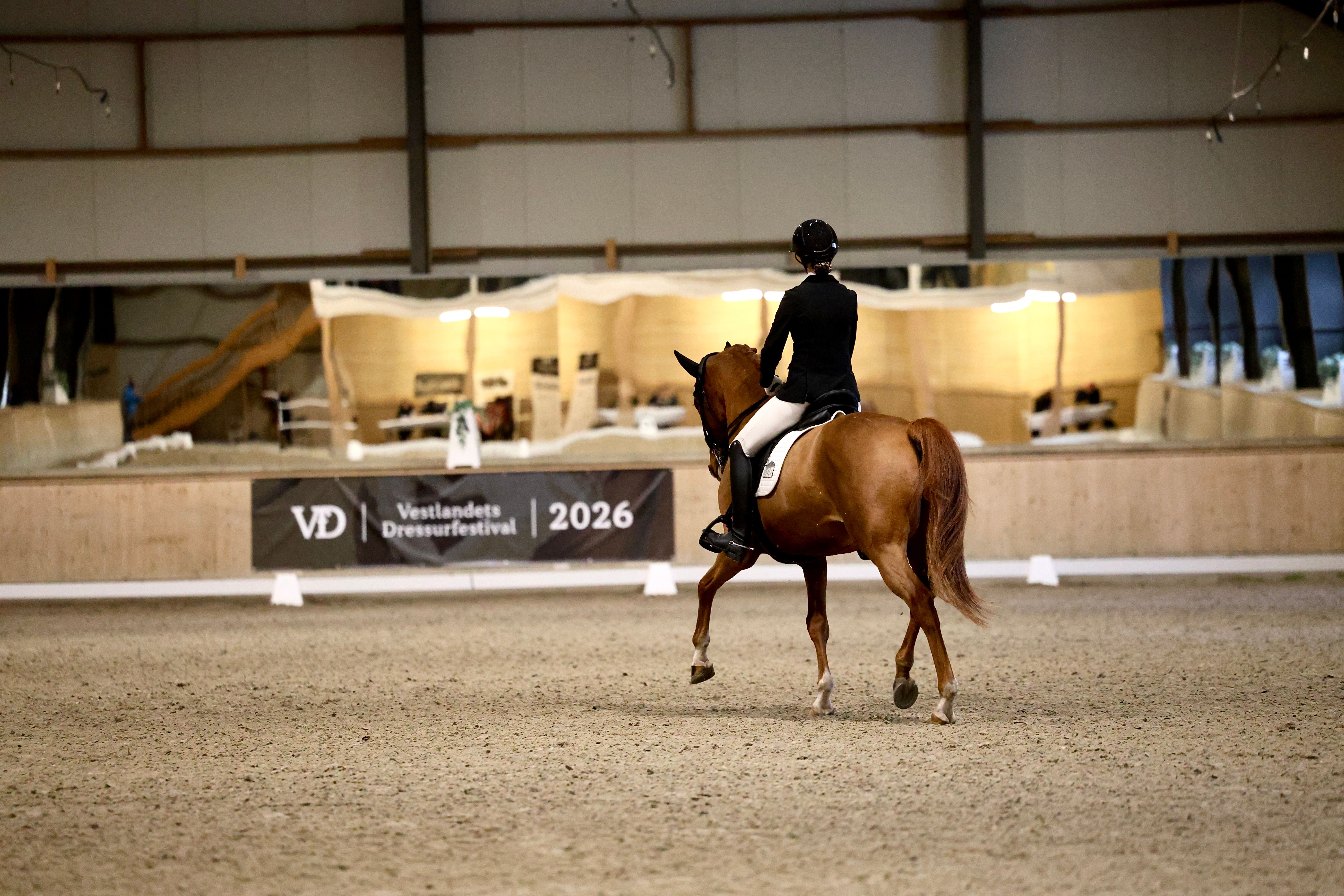 hest / Norges Rytterforbund / dressur / Vestlandets / Dressurfestival
