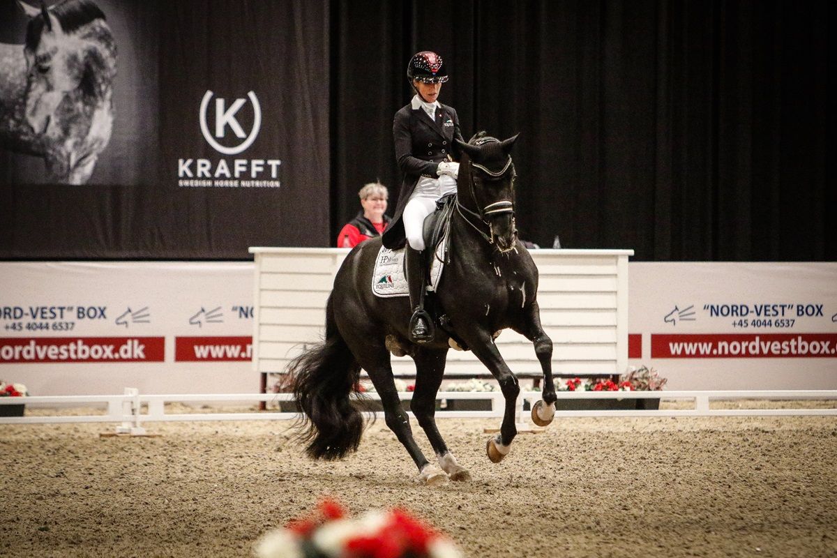 hest / Norges Rytterforbund