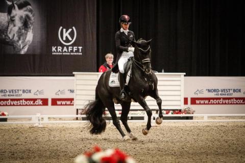 hest / Norges Rytterforbund