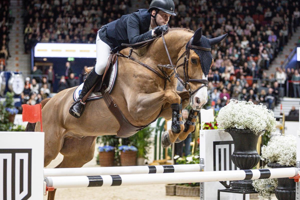 hest / Norges Rytterforbund / Johan-Sebastian Gulliksen