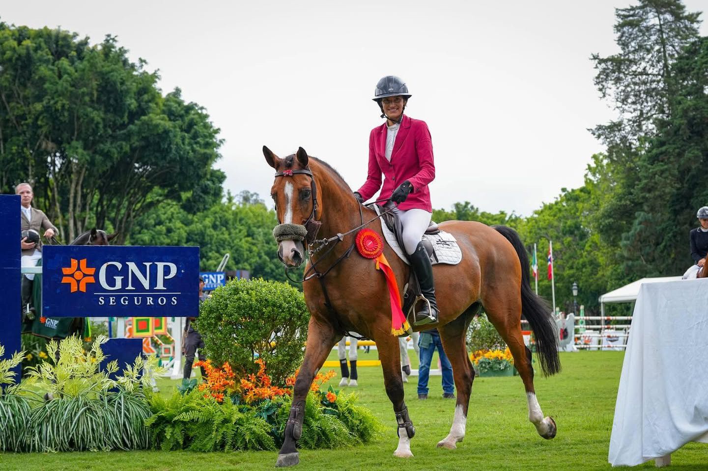 hest / Norges Rytterforbund / Cecilie Hatteland
