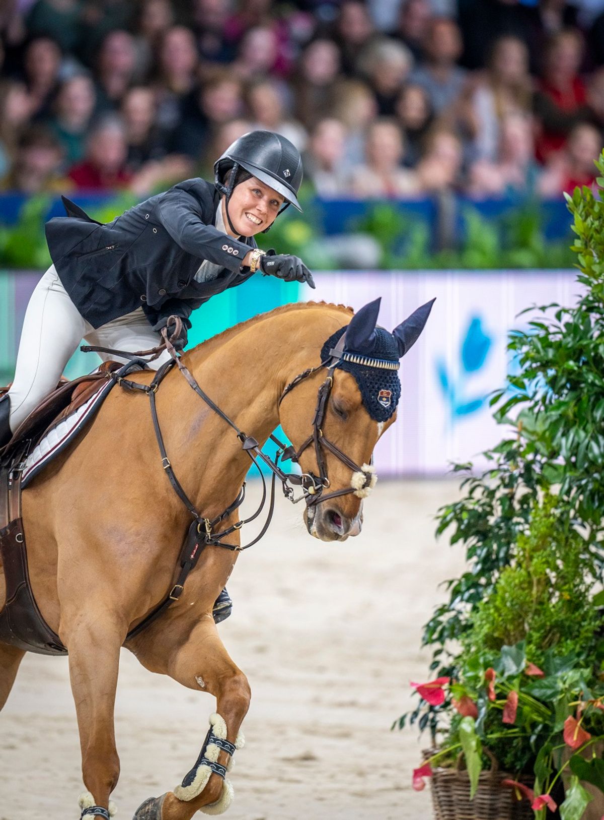 Jumping Mechelen/sprang/Norges Rytterforbund