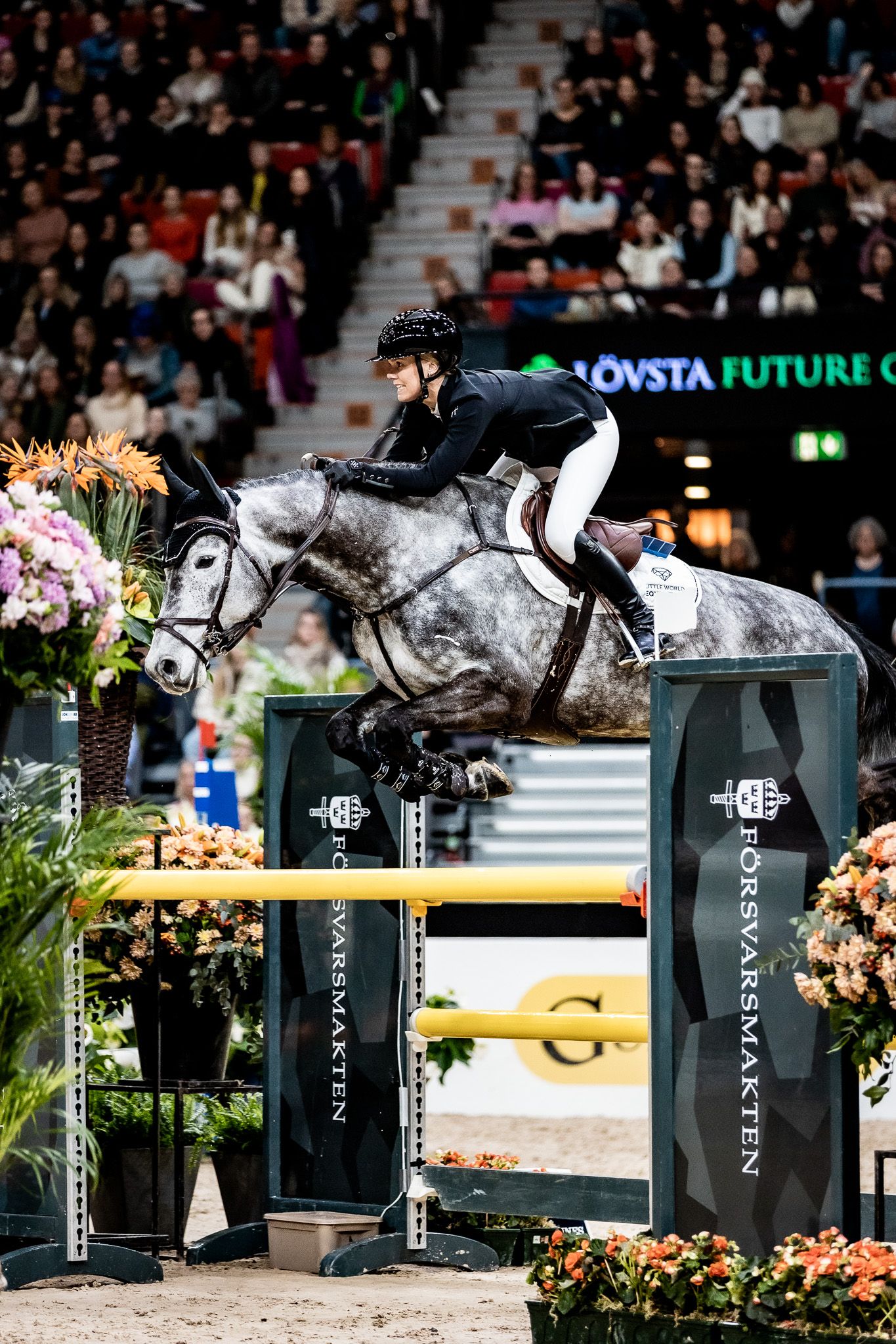 hest / Norges Rytterforbund / Marthe Helgestad