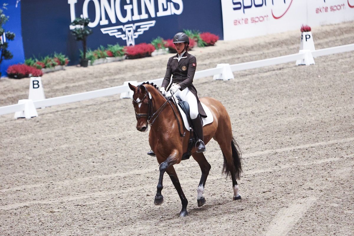 hest / Norges Rytterforbund