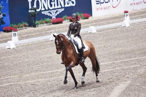 hest / Norges Rytterforbund