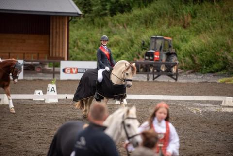 hest / Norges Rytterforbund / Landsmesterskap / dressur