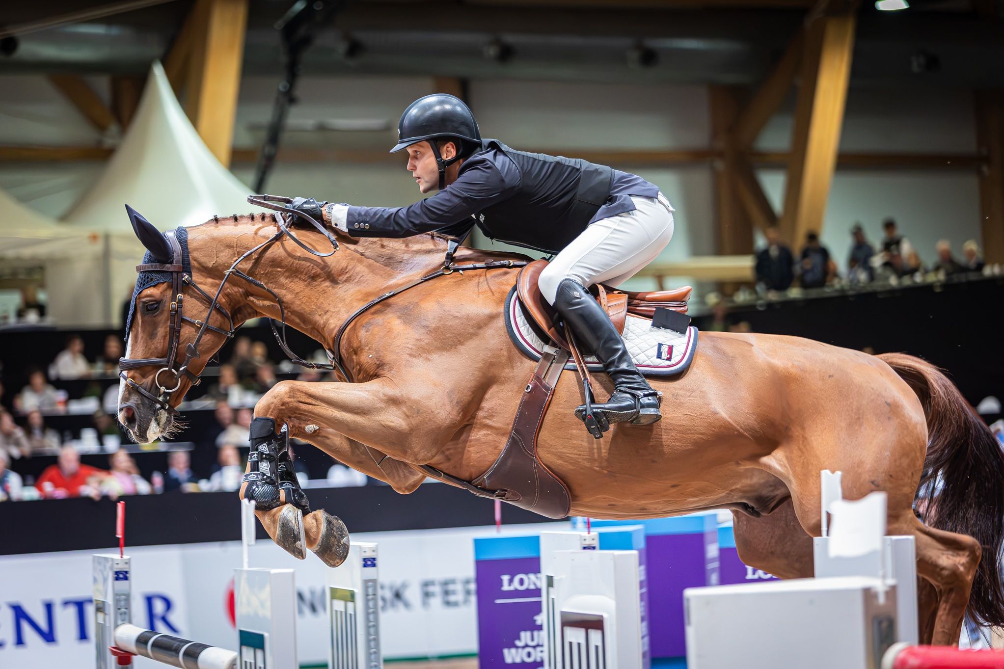hest / Norges Rytterforbund 