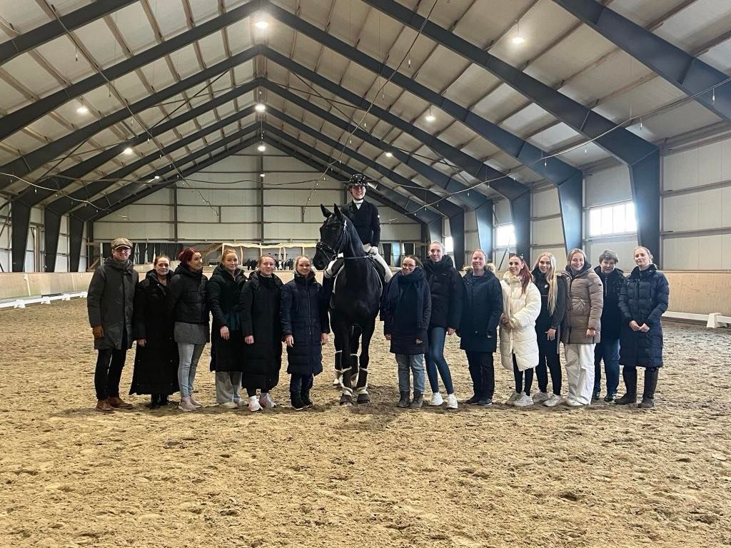 hest / Norges Rytterforbund