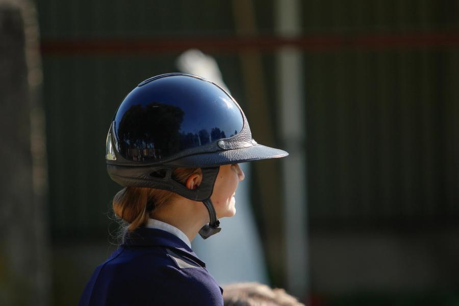  Norges Rytterforbund / hest / tillitsvalgt