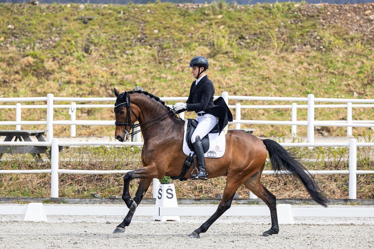 hest / Norges Rytterforbund