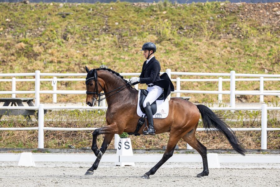 hest / Norges Rytterforbund