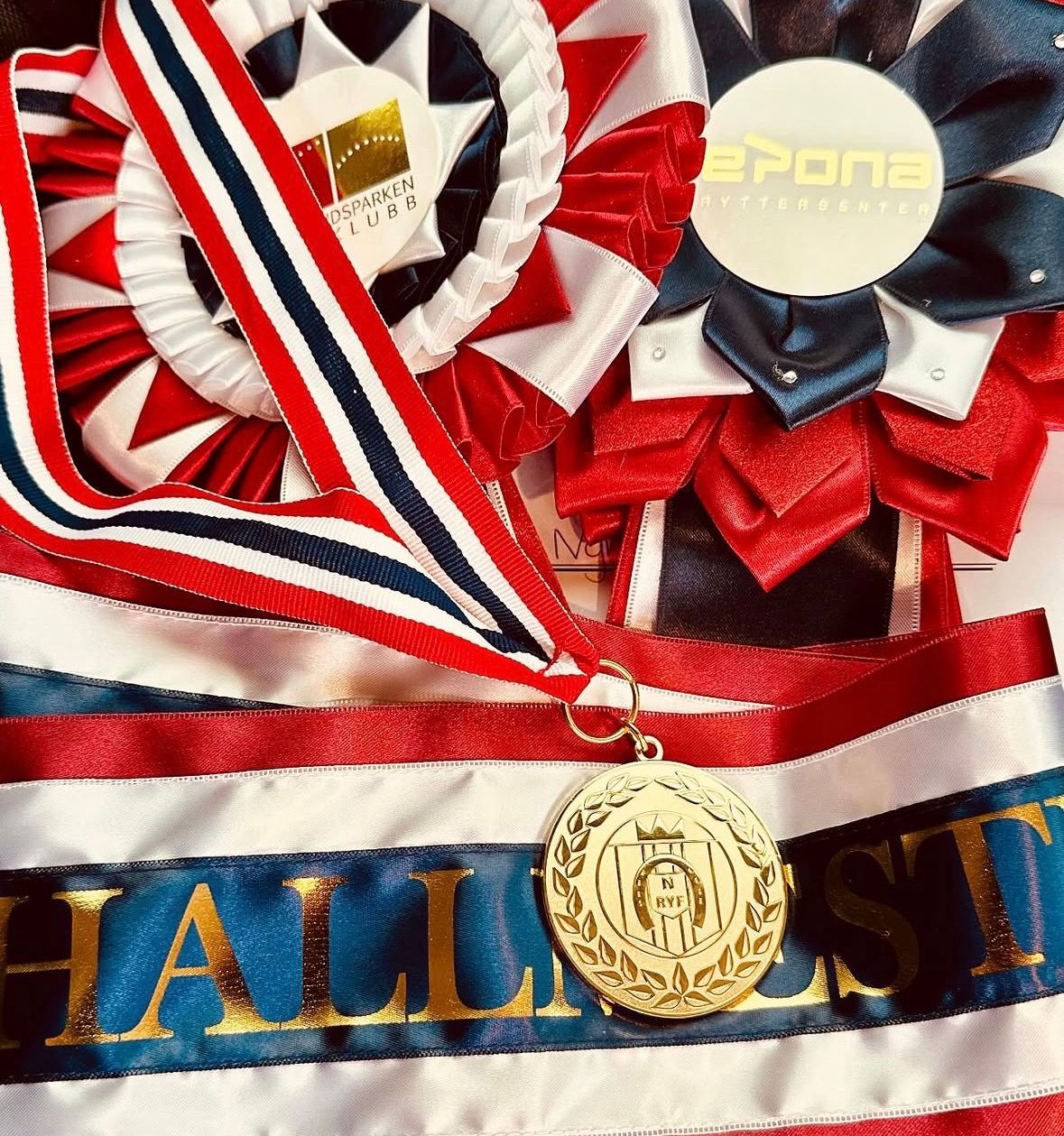 hest / Norges Rytterforbund / Hallmesterskap / dressur