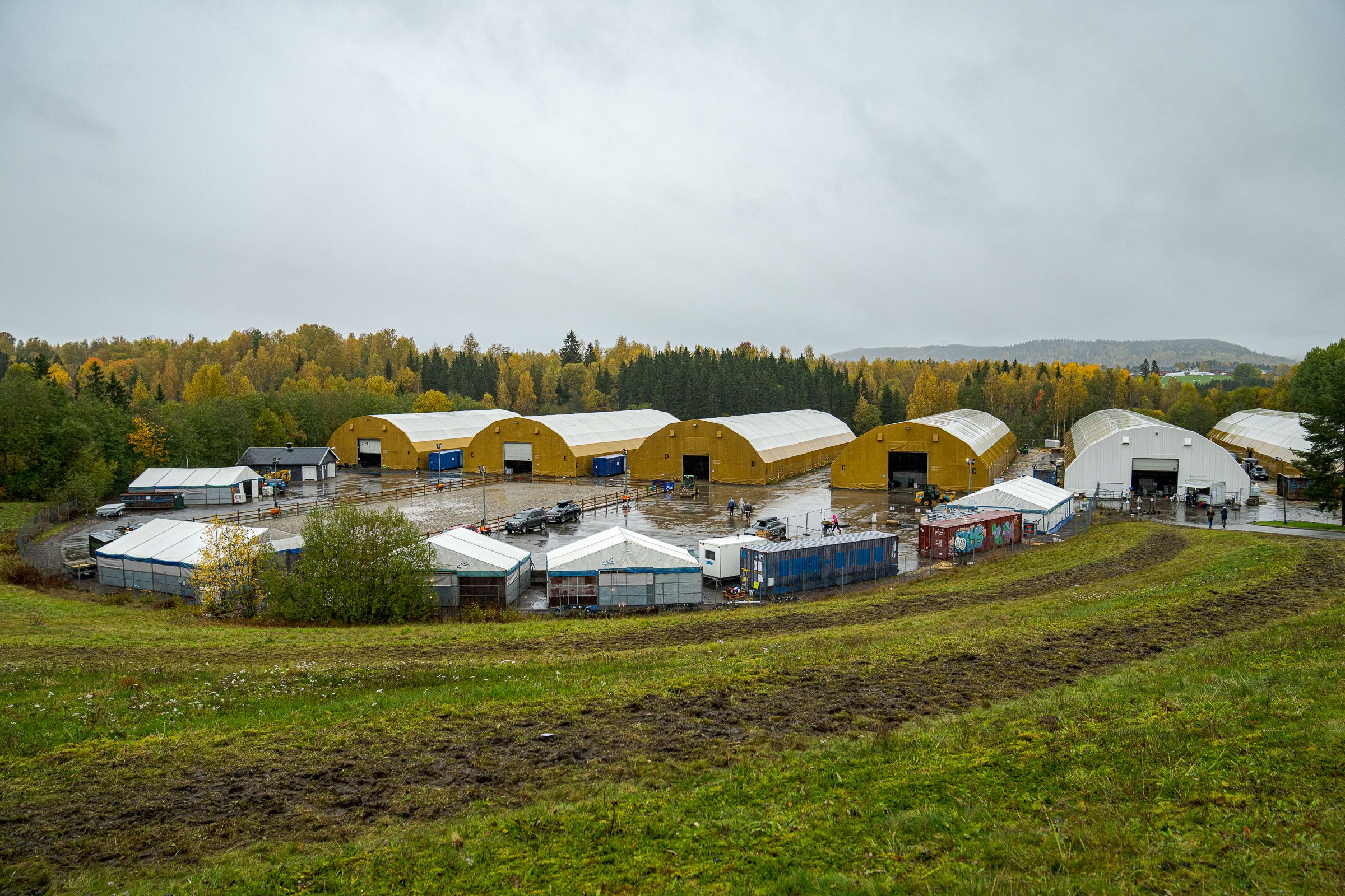 hest / Norges Rytterforbund 